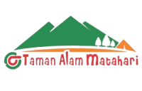 taman-removebg-preview